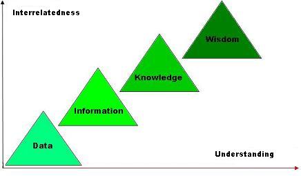 Data-Information-Knowledge-Wisdom Model
