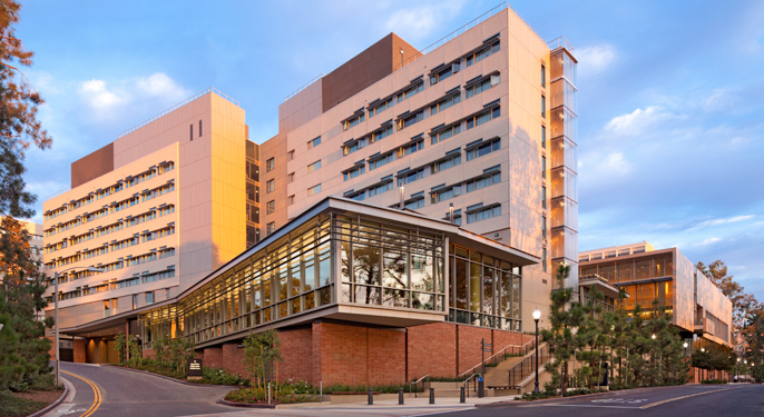 Carnesale Commons
